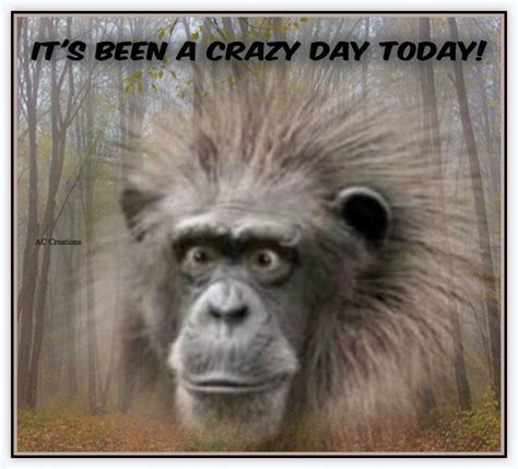 crazy day memes|More.